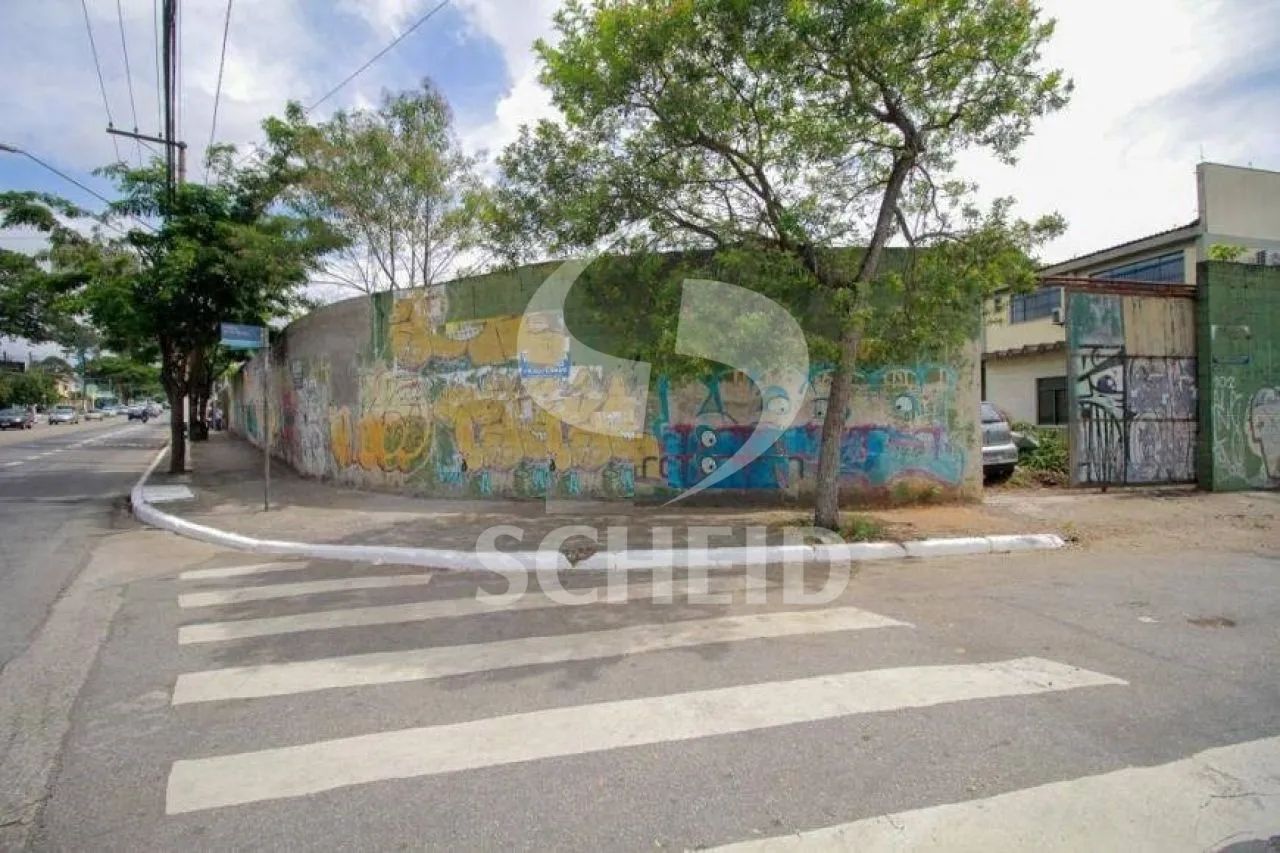 Terreno - Vila Friburgo
