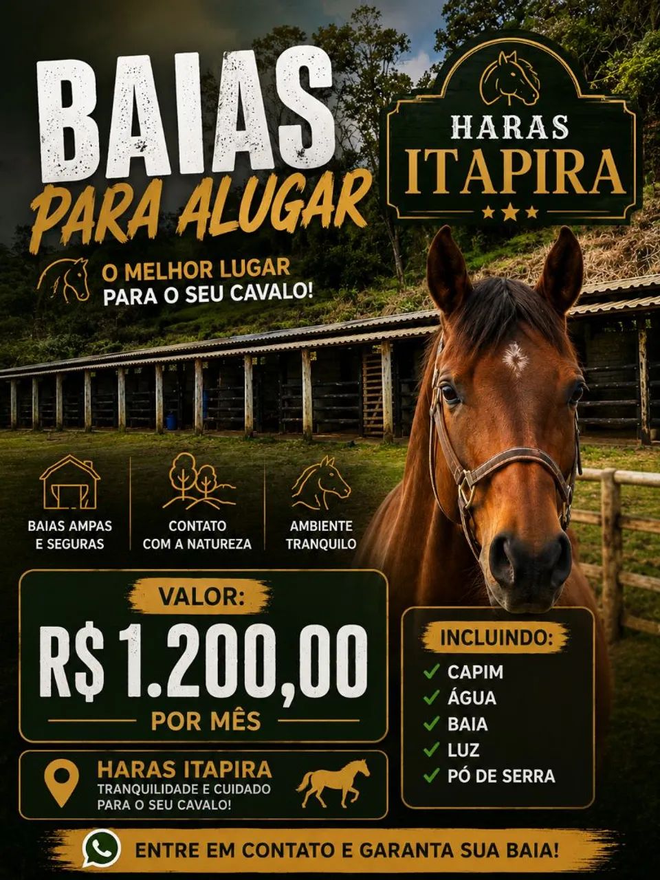 Baias para seu CAVALO