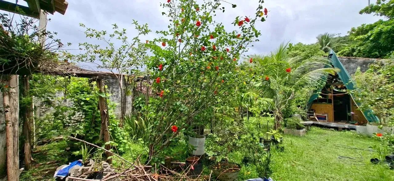 Oportunidade  Terreno com 257m² na Av. dos Caiçaras - Jd. Guaiúba - Guarujá/SP - R$990.000 - Foto 11