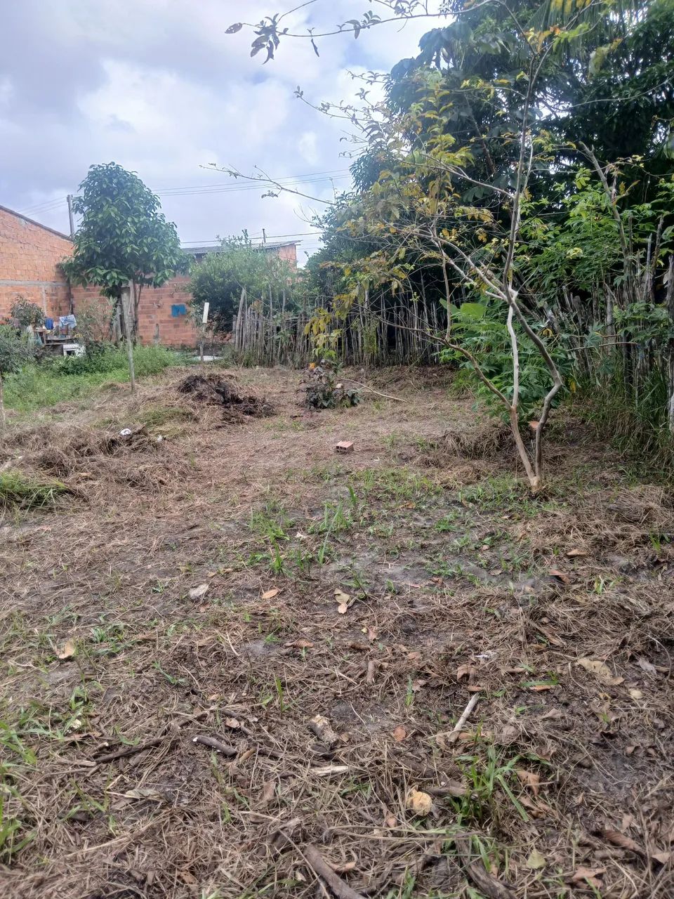 Terreno  - Foto 3