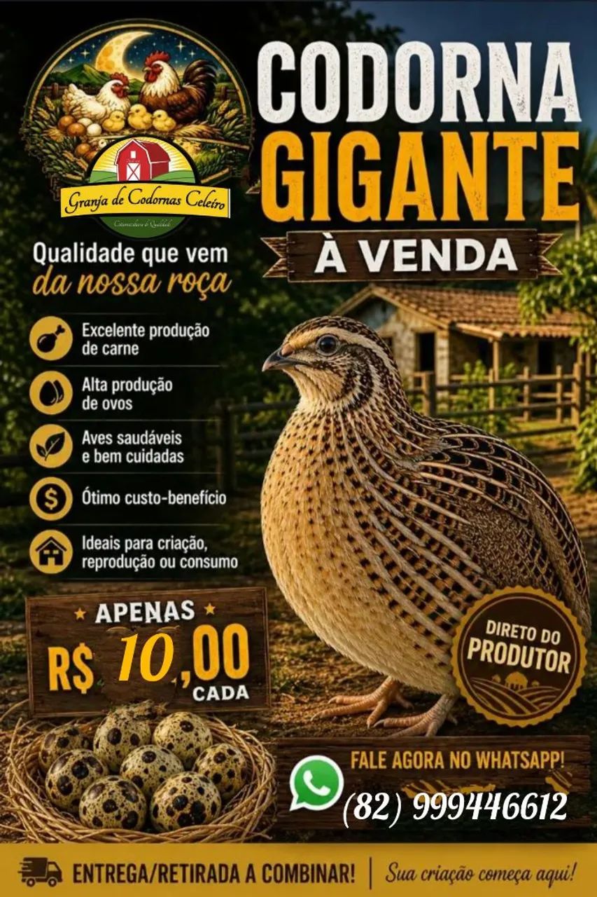 CODORNAS GIGANTES E JAPÔNICA 