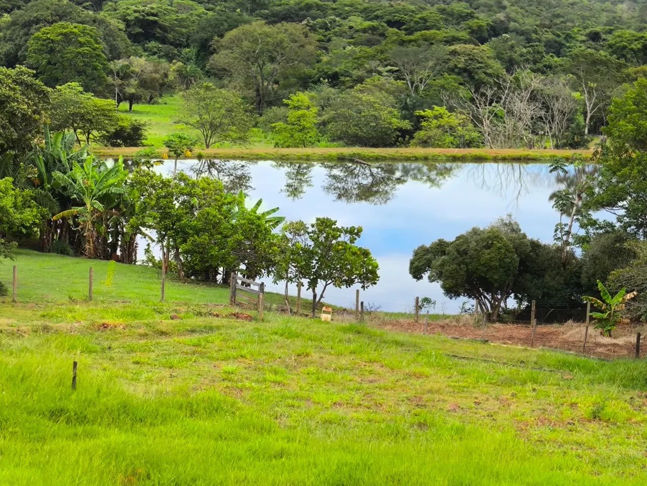Excelente fazenda no Goiás  - Foto 4