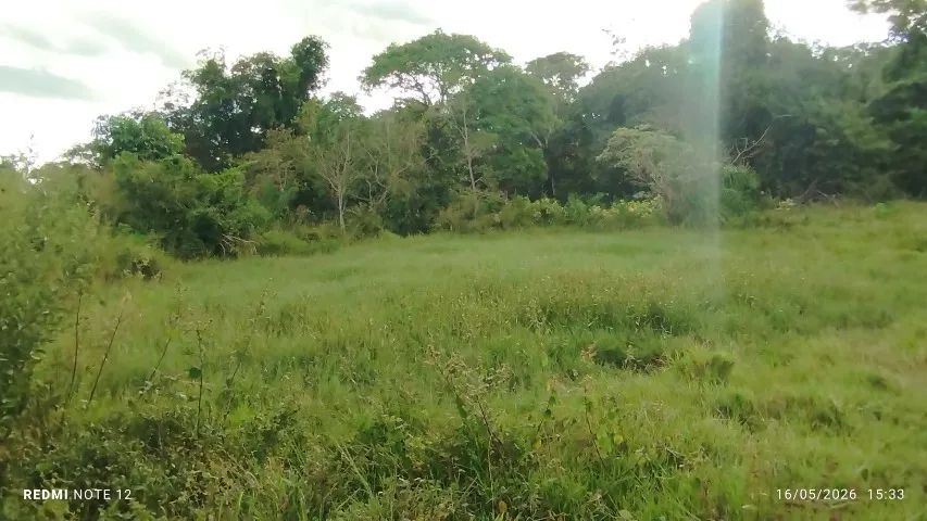 Chácara 15 hectares  - Foto 3