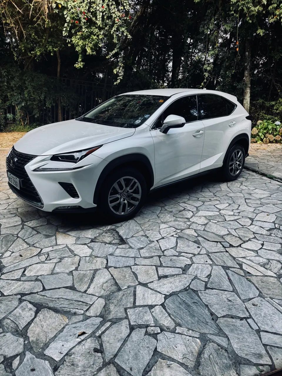 Lexus NX-300 Dynamic 2.0 16V 238cv Aut. 2018