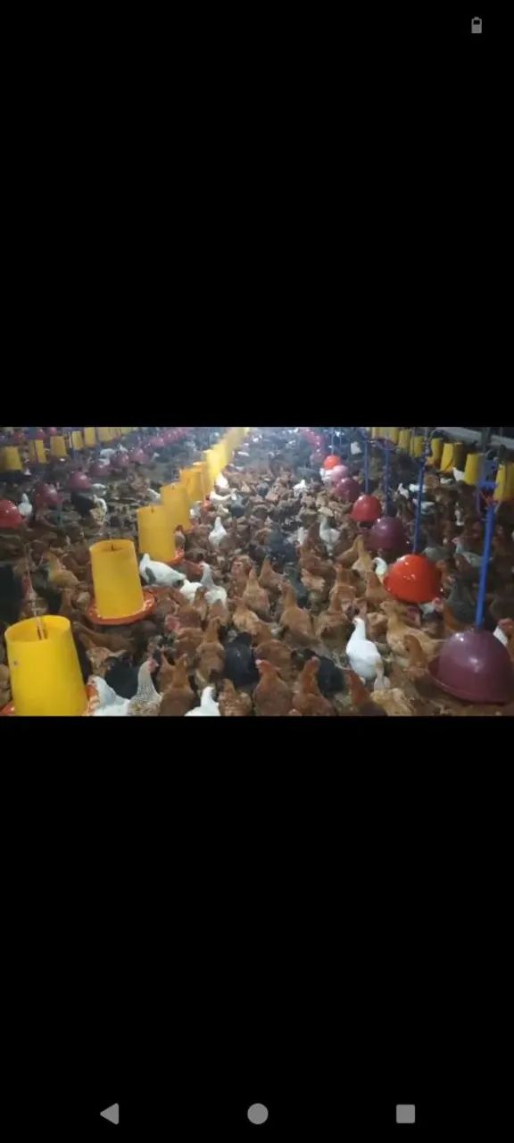Vendo 45 - Foto 4