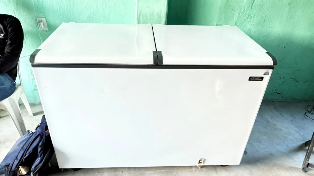Freezer Esmalltec