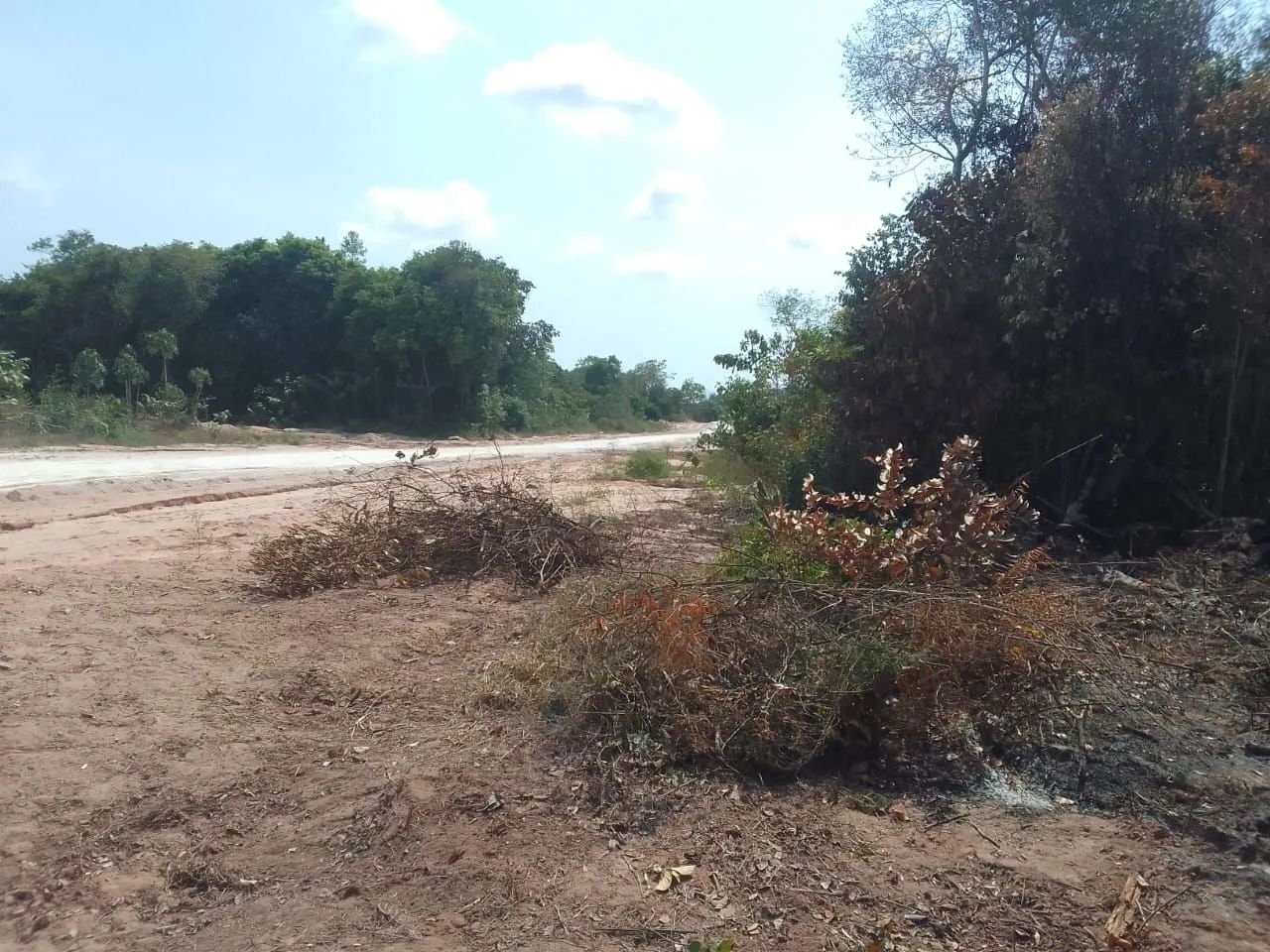 Limpeza de terreno  - Foto 2