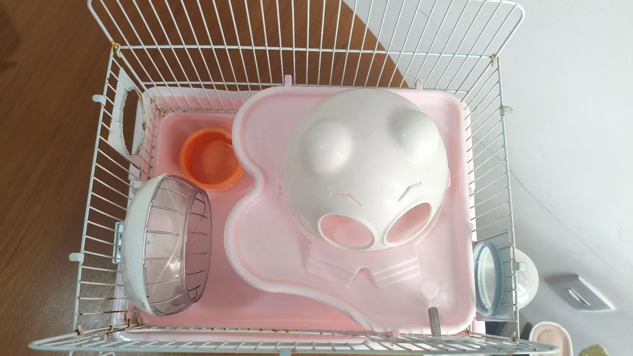GAIOLA PARA HAMSTER E ROEDORES (CONSERVADA E COM VARIOS BRINQUEDOS) - Foto 4