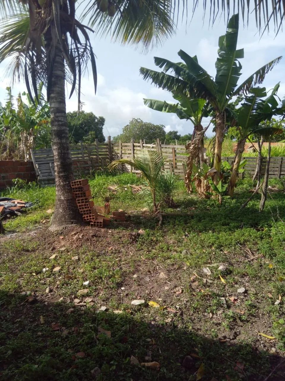 *Casa a venda _estrada de avelino 40 povoado rio fundo - Foto 4