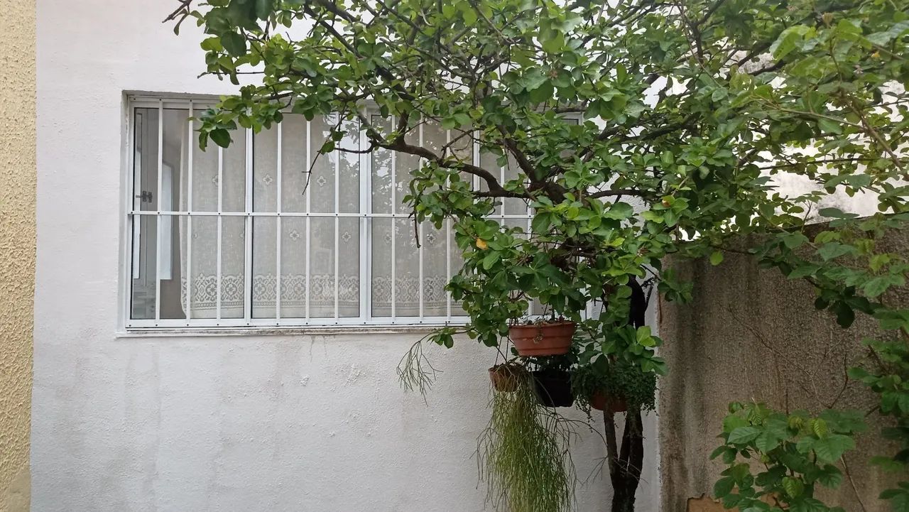 Foto - São Gonçalo - Porto Velho