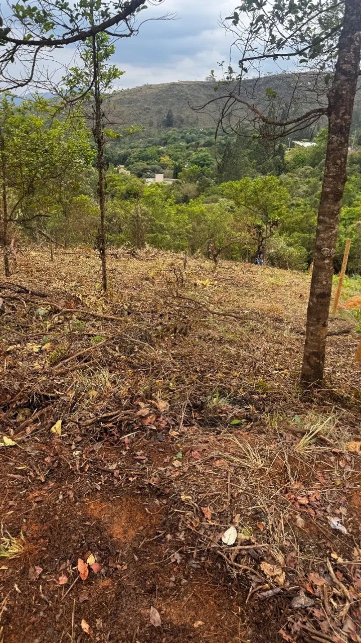 Terreno 1046m2 - Foto 3