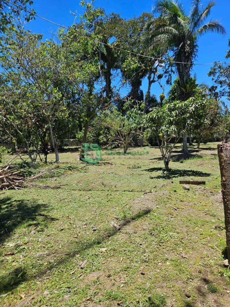 Chacara em Peruibe com 6050m2 com Escritura Definitiva - Foto 3