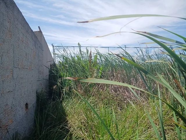 Foto - Armação Dos Búzios - 