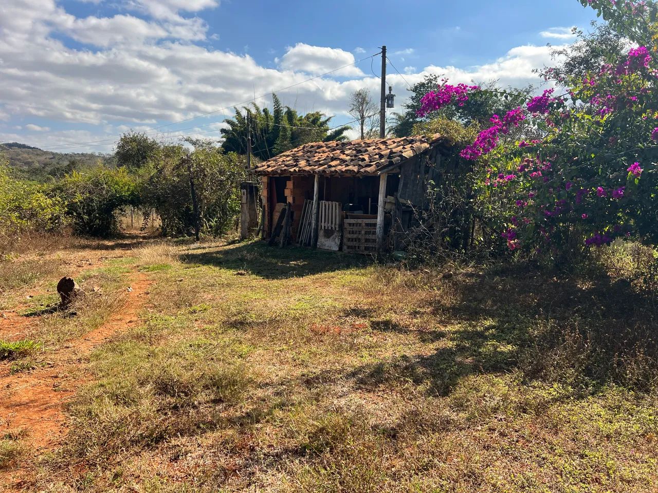 Sítio com muita água  - Foto 3