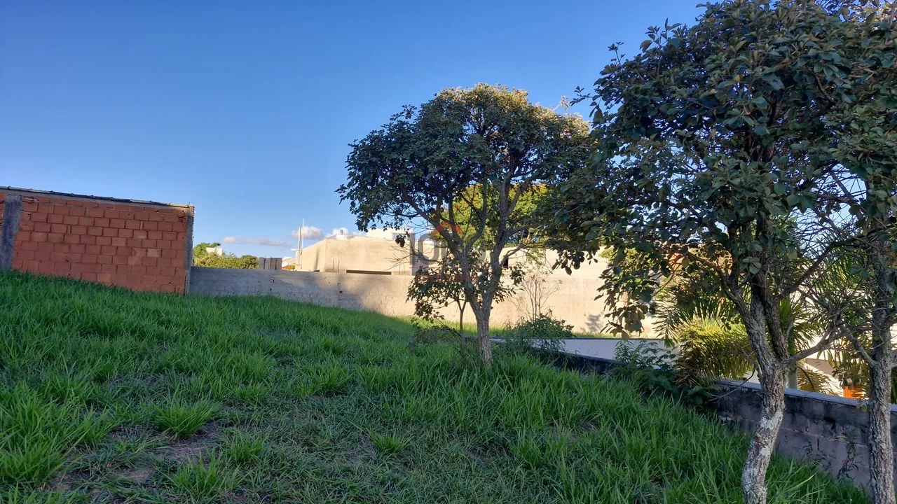 Lote / Terreno - Grama - Foto 5