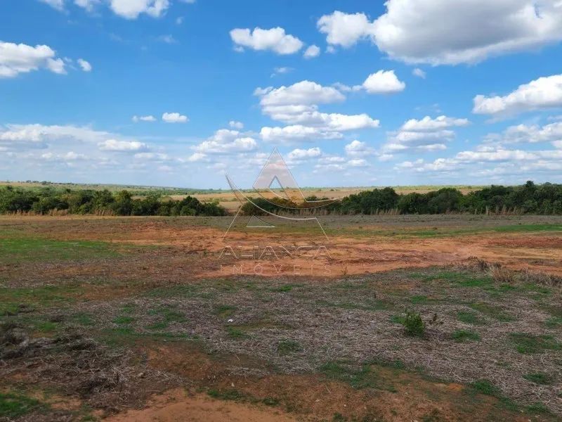 Fazenda - Campinorte - Zona Rural - Foto 5