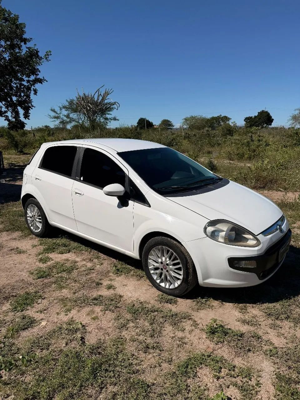 Fiat Punto 2014
