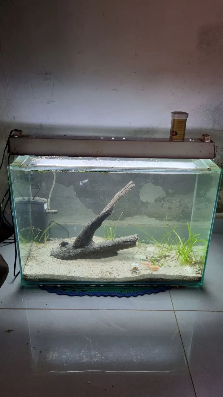 Aquario 72 Litros