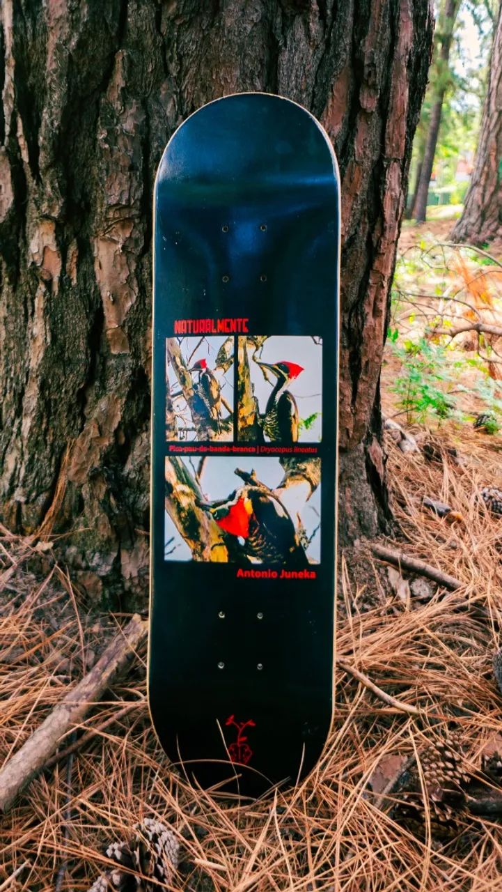 Shape Naturalmente - Pro model. Antonio Juneka. maple
