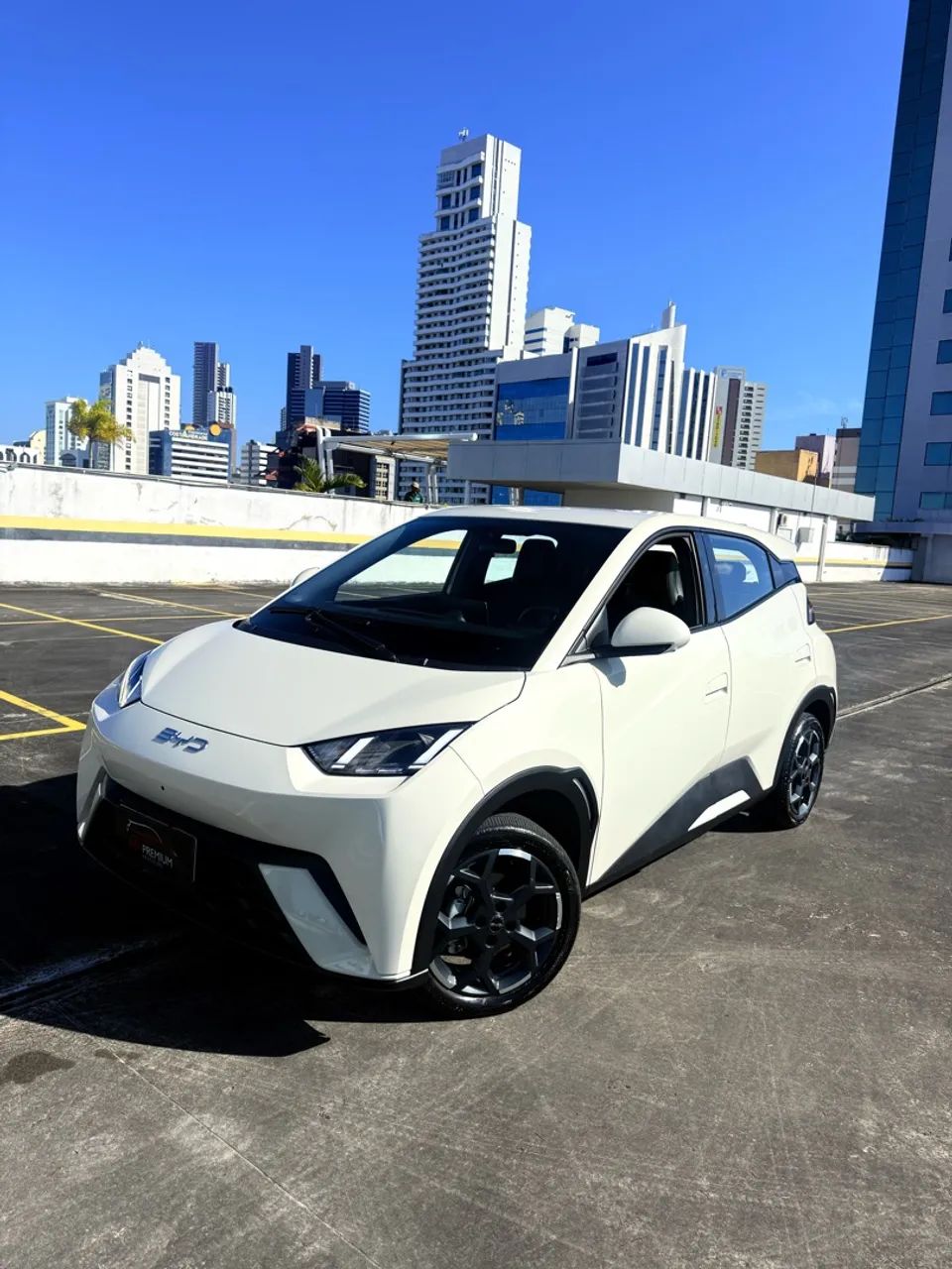 BYD Dolphin Mini (Elétrico) 2026 2026