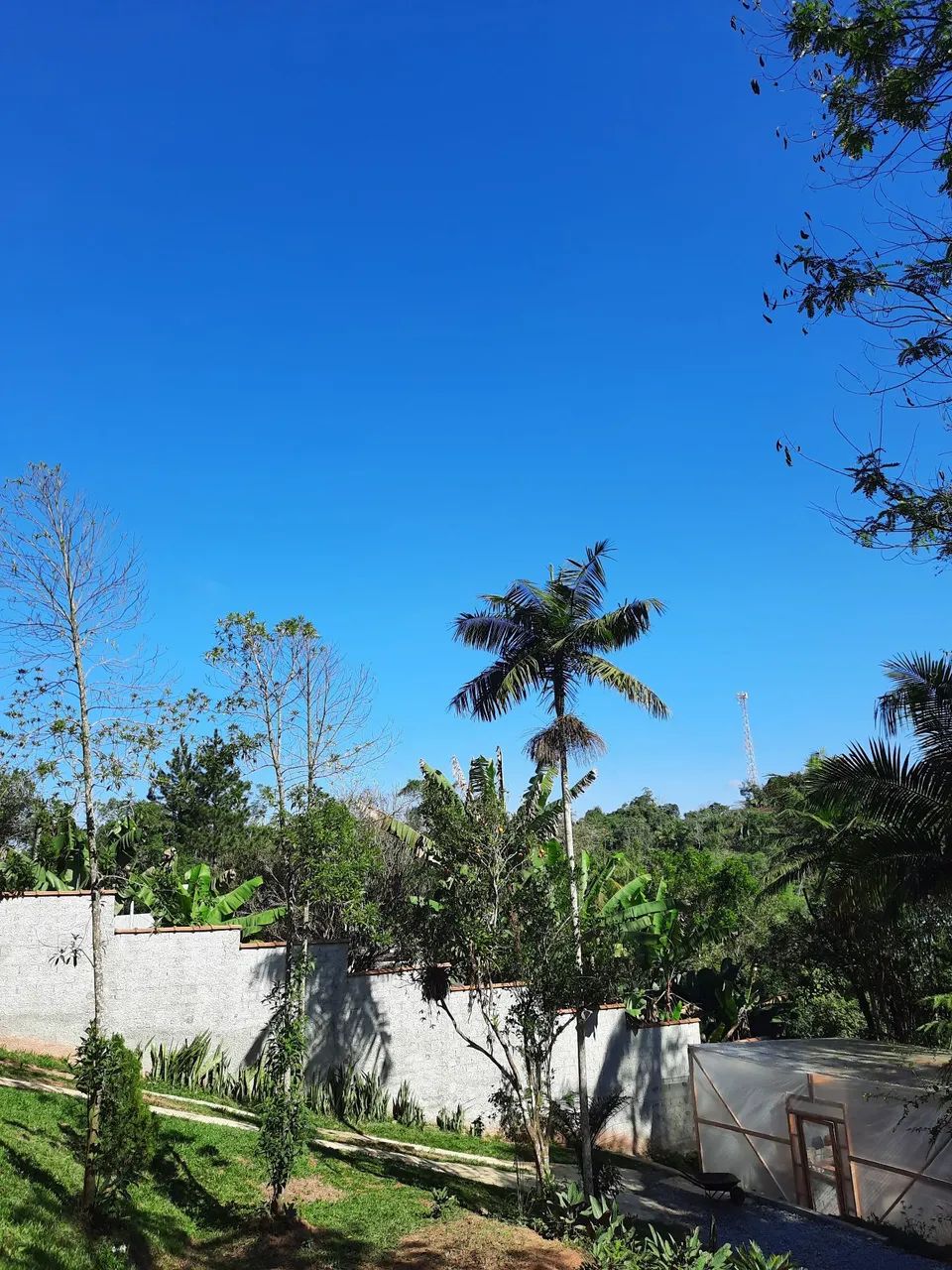 Terreno de 300m² com Escritura - Foto 4