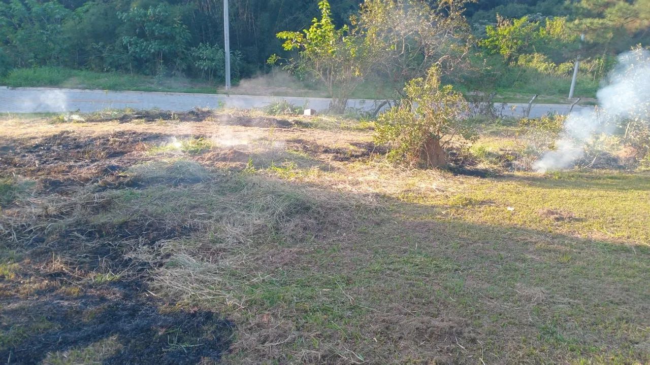 ROÇAGEM E PODAS - Foto 4