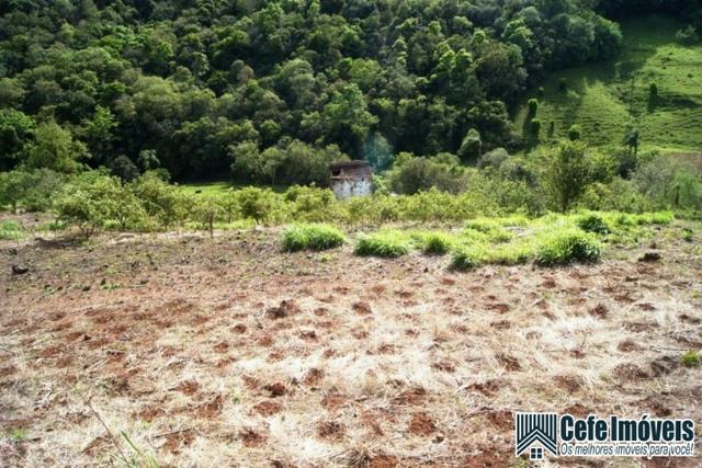 Chácara em Nova Petrópolis RS - Foto 14