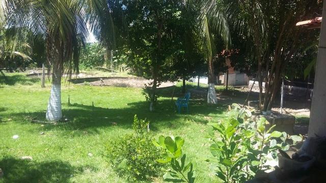 Excelente Sítio (lazer,morar ou investir) - Foto 5