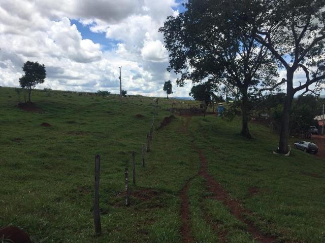 Fazenda com 5,5 Alqueires, Toda Formada, Pontalina Goiás, - Foto 18