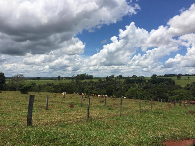 Fazenda com 5,5 Alqueires, Toda Formada, Pontalina Goiás, - Foto 17