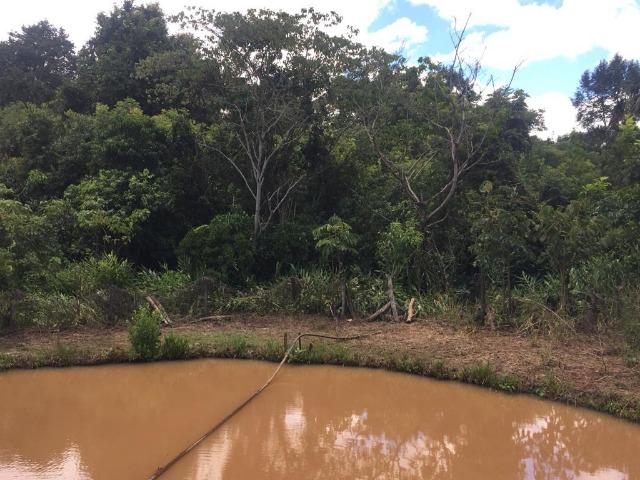 Fazenda com 5,5 Alqueires, Toda Formada, Pontalina Goiás, - Foto 19