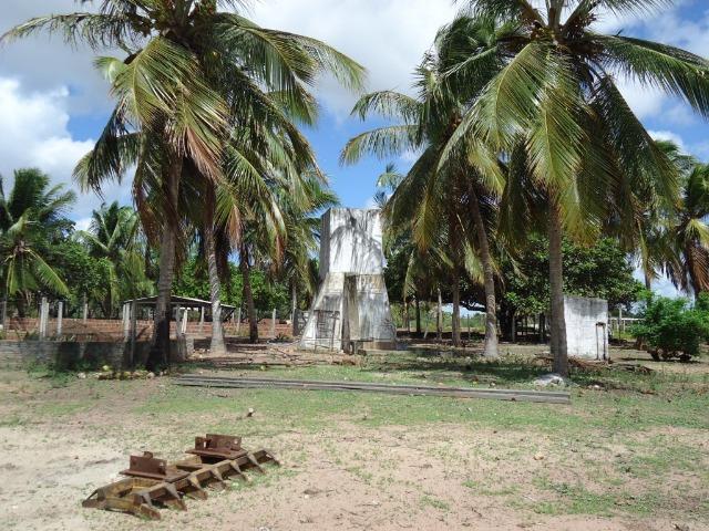 Vendo Fazenda em Ceará Mirim - Foto 10