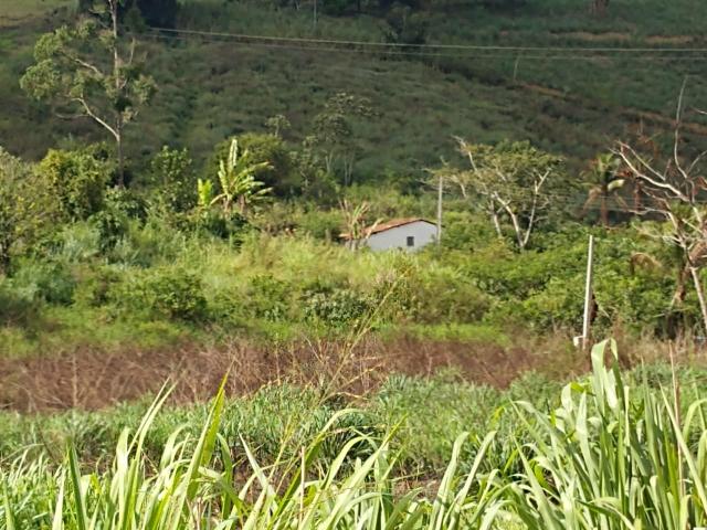 Fazenda com 180 Hectares a 8 km da Pista de Cortês-PE - Foto 15