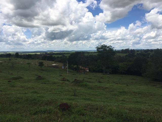 Fazenda com 5,5 Alqueires, Toda Formada, Pontalina Goiás, - Foto 20