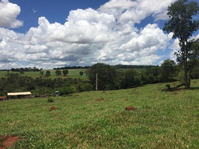 Fazenda com 5,5 Alqueires, Toda Formada, Pontalina Goiás, - Foto 12
