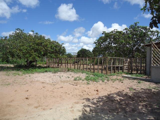 Vendo Fazenda em Ceará Mirim - Foto 16