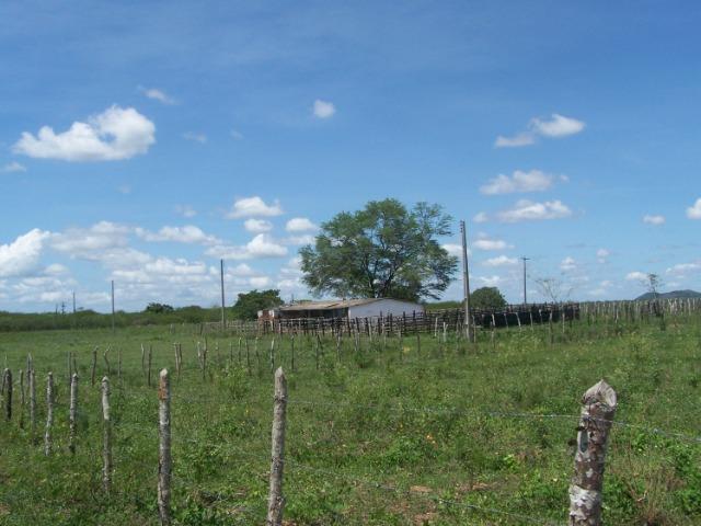 Vendo Fazenda em Poço Branco - Foto 2