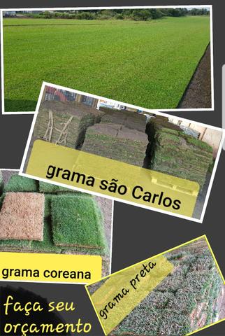 Terra aterra - Foto 5