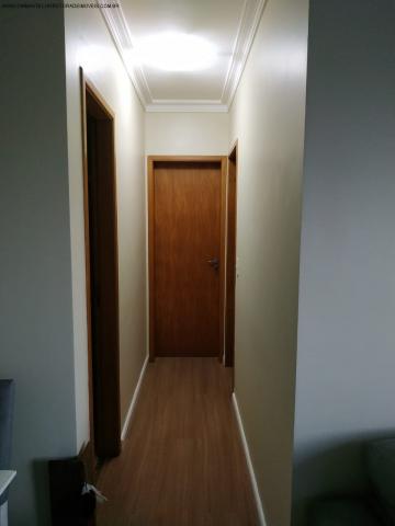 Apartamento à venda com 2 dormitórios em Manguinhos, Serra cod:AP00145 - Foto 7
