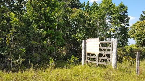 Maravilhosa fazenda em barrolândia, belmonte - ba com 809 hectares... - Foto 7