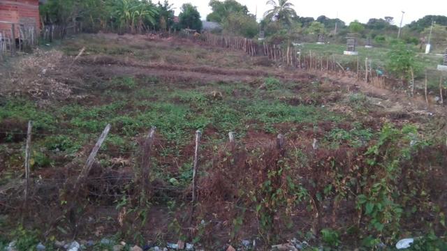 Terreno ao lado da rodoviária - Foto 2