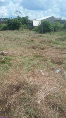 Terreno barato - Foto 4