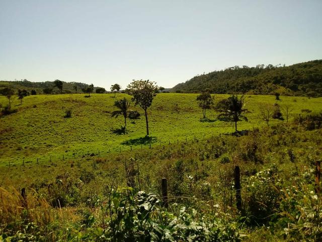 Vendo excelente fazenda / maranhão