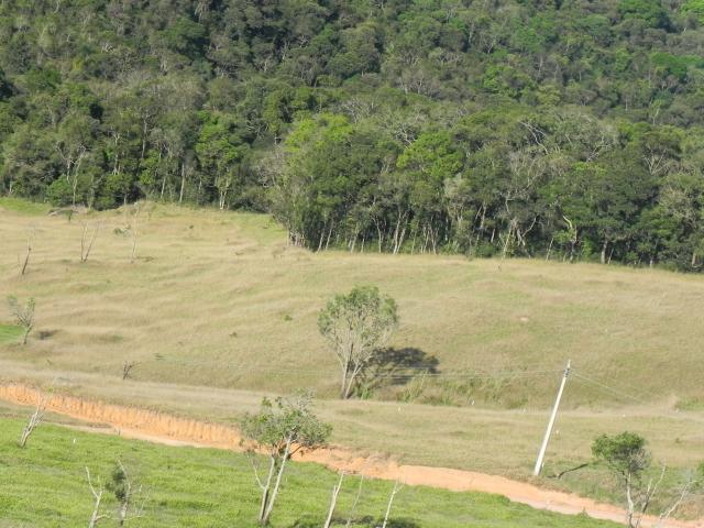 Agt-ótimo terreno para construir chacará na região de Mairiporã - Foto 15