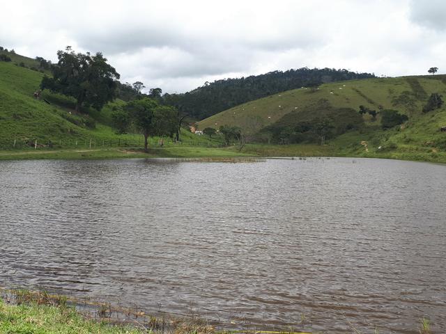 Venda ou arrendamento Excelente Fazenda 540 tarefas em Ubaira - Foto 4
