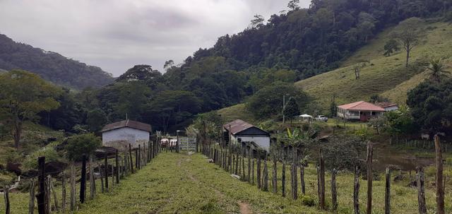 Vendo Fazenda com Pasto e cacau - Foto 5