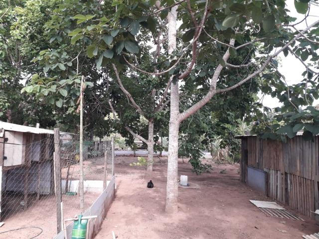 Vende-se uma chácara com 2 casas 2400m2 - Foto 9