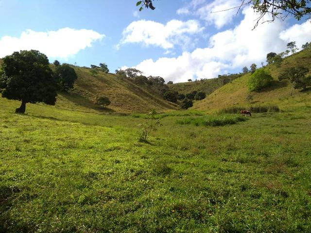 Sitio - Foto 4