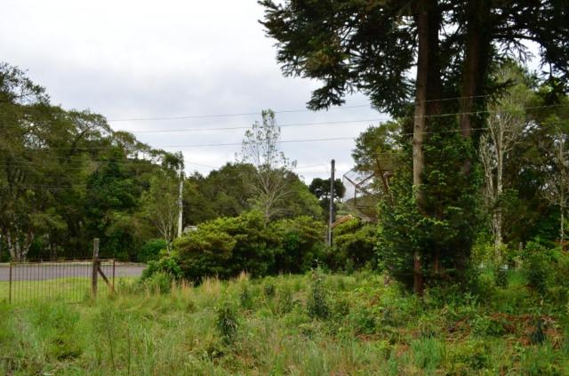 Terreno à venda, 1049 m² por R$ 450.000,00 - Villágio - Gramado/RS - Foto 9
