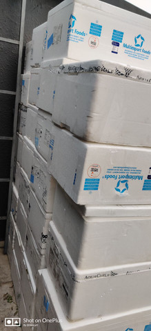Caixa de isopor Salmão Atum Peixe branco  - Foto 4